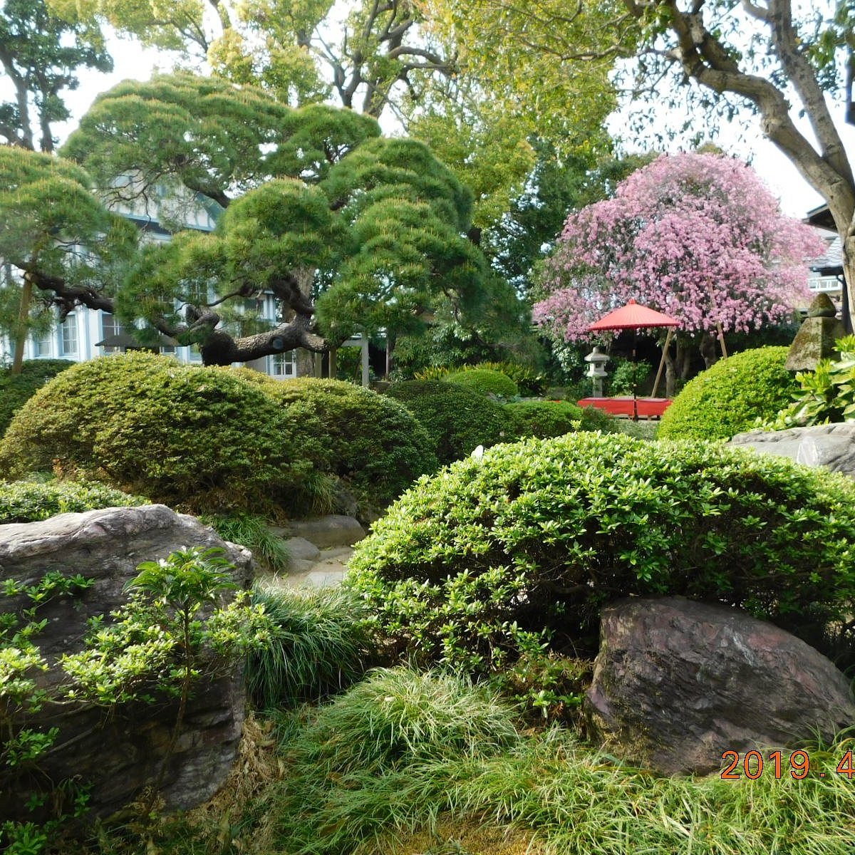 🏛️ 요코야마 향토관(요코야마 쿄도칸) 이미지 1